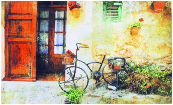 313 Gallery 45x75 cm 010 bicycle
